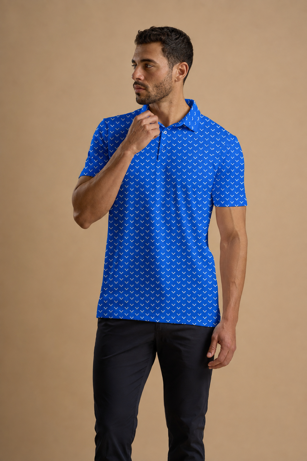 Sky Arc Polo